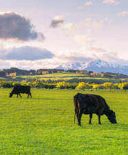 Agricultural Concrete